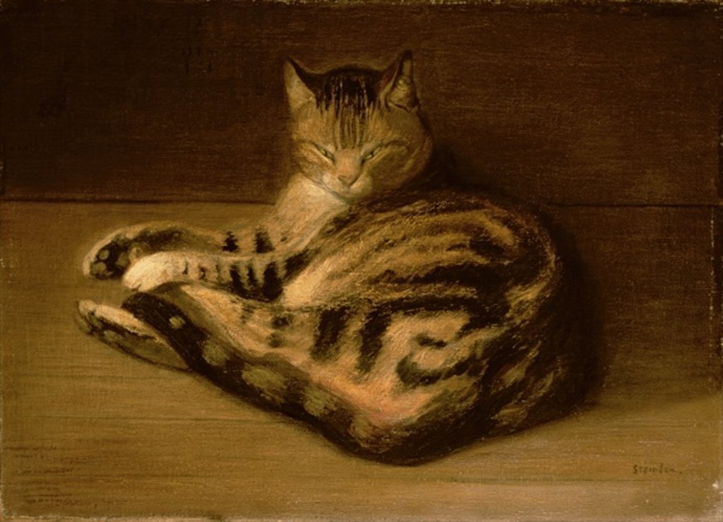 Detail of Recumbent Cat, 1898 by Theophile Alexandre Steinlen