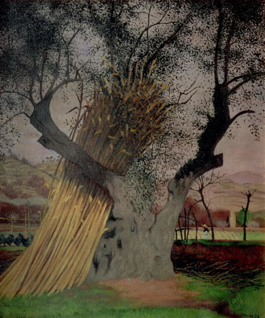 Detail of The Old Olive Tree, 1922 by Felix Edouard Vallotton