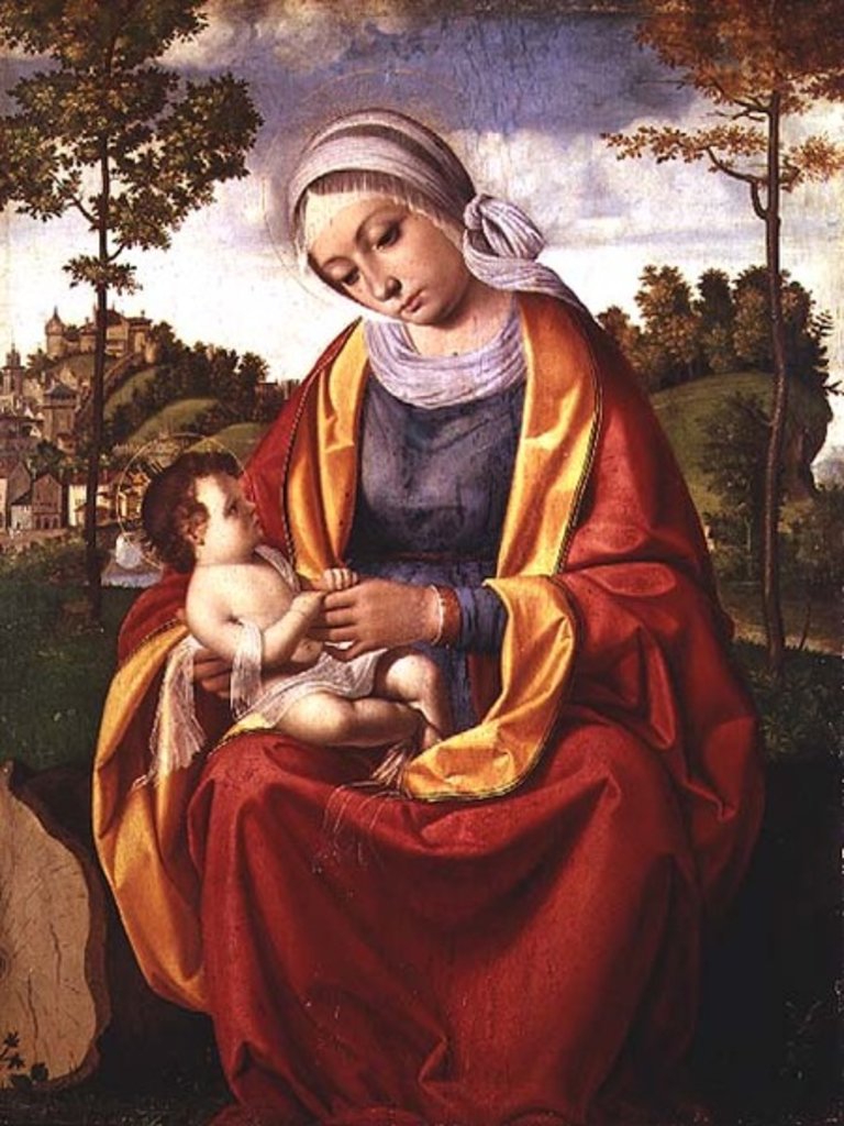 Detail of The Virgin and Child by Andrea Previtali