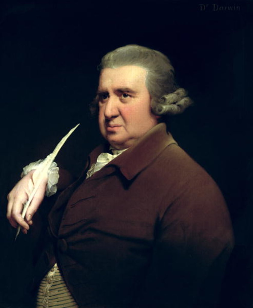 Detail of Portrait of Dr Erasmus Darwin scientist, inventor and poet, grandfather of Charles Darwin, 1792-93 by Joseph Wright of Derby