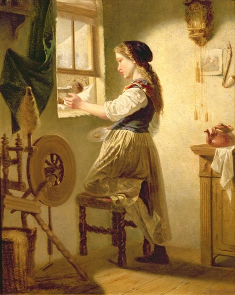 Detail of Feeding the Birds in Winter by Hubert Salentin