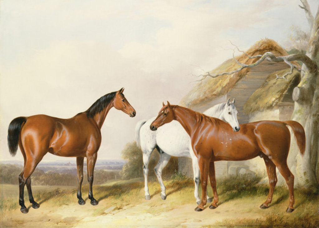 Detail of Outside the Stable, 1845 by William Barraud