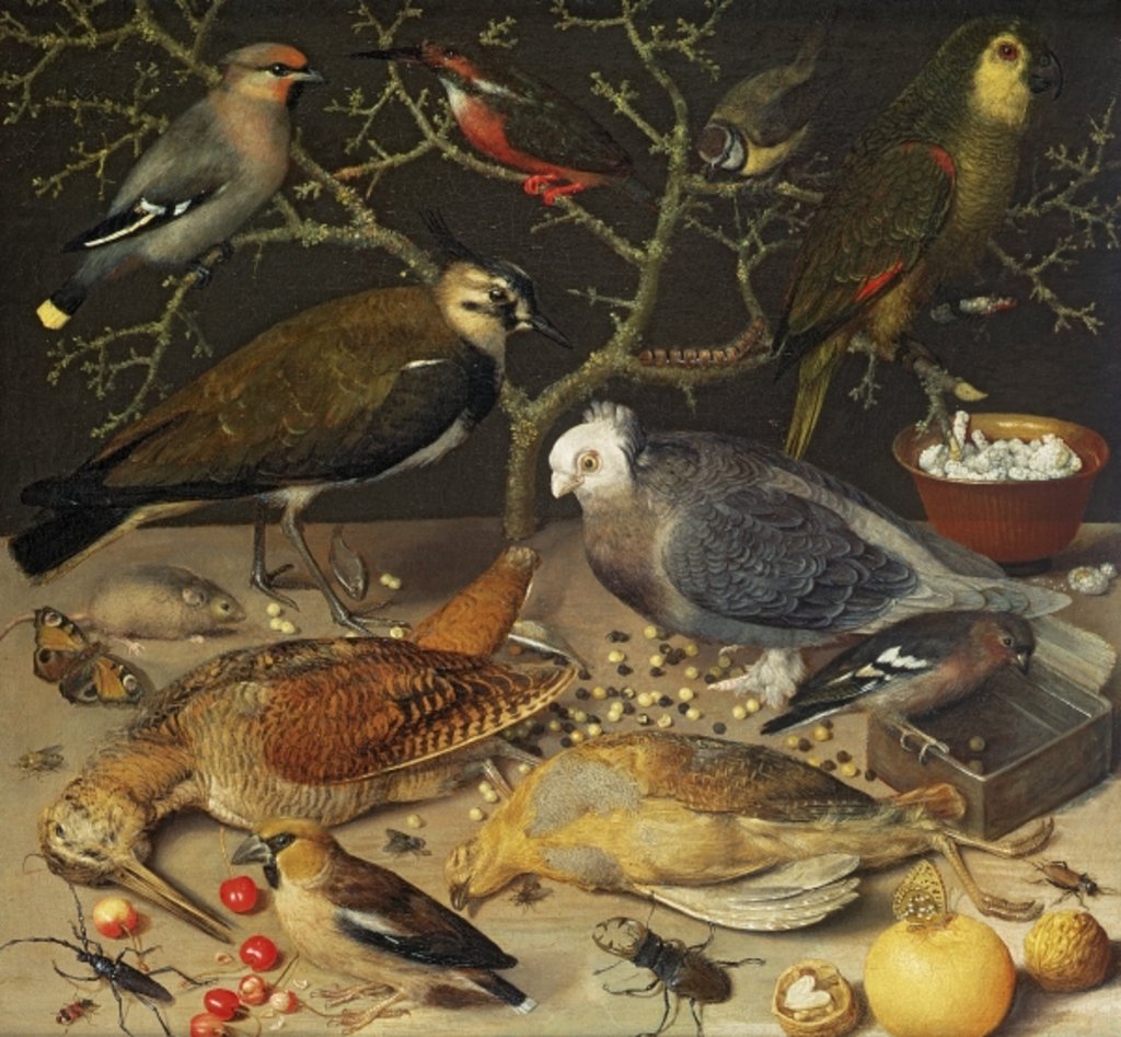 Detail of Still Life of Birds and Insects, 1637 by Georg Flegel