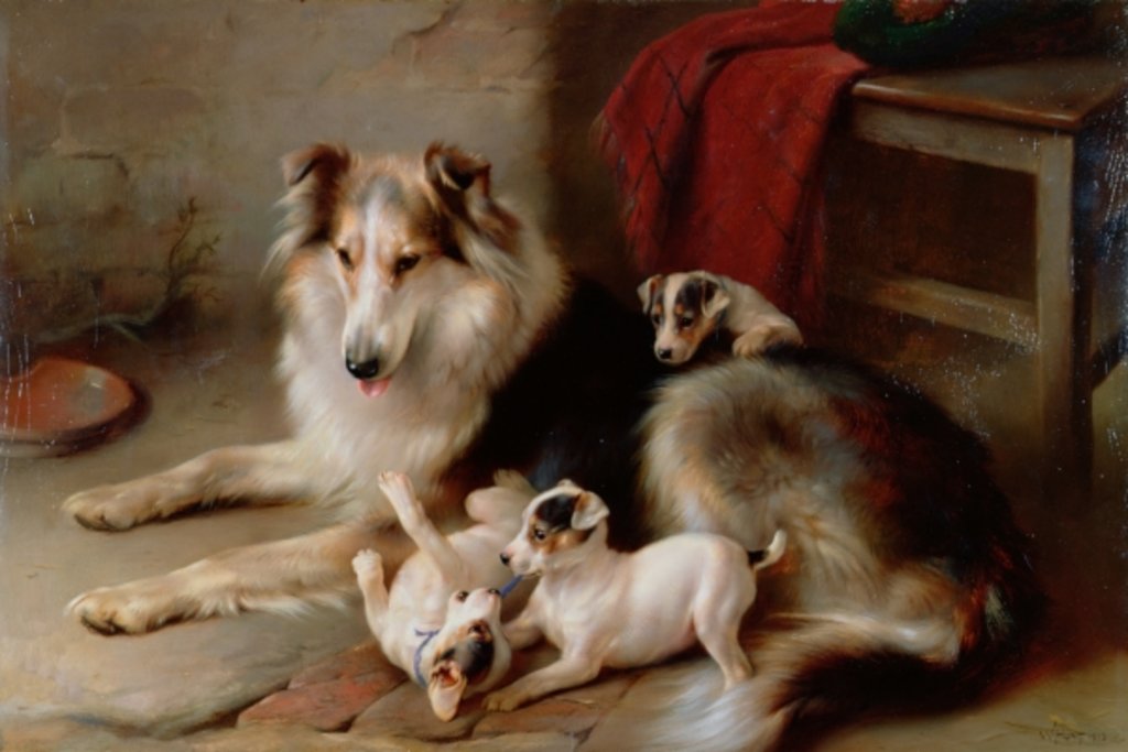 Detail of A Collie with Fox Terrier Puppies, 1913 by Walter Hunt