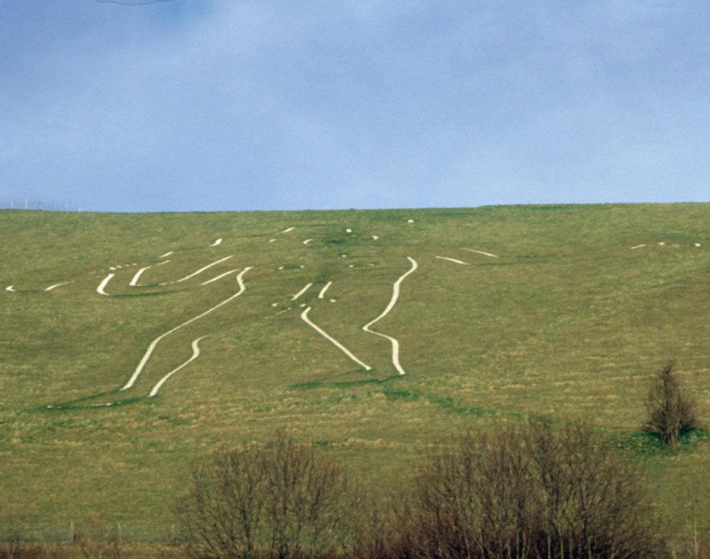Detail of The Cerne Abbas Giant by Anonymous