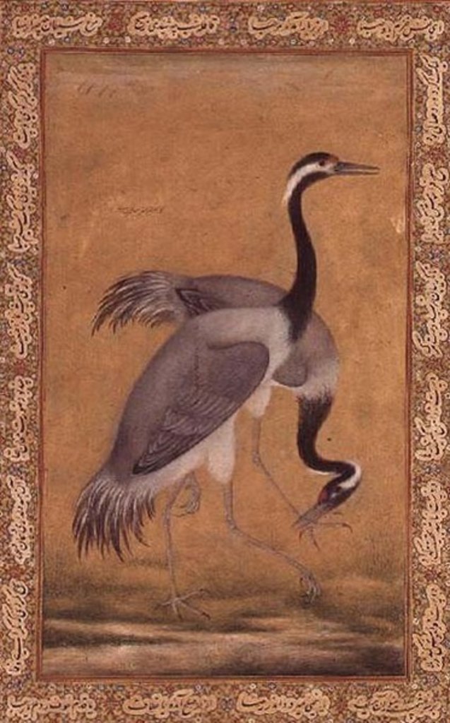 Detail of Cranes by Mansur, Jahangir Period, Mughal, 1775 by Indian School