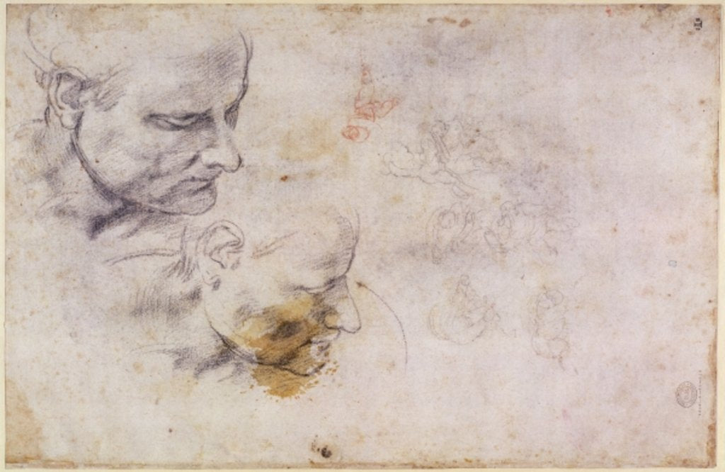 Detail of W.60 Sketch of a male head, in two positions by Michelangelo Buonarroti