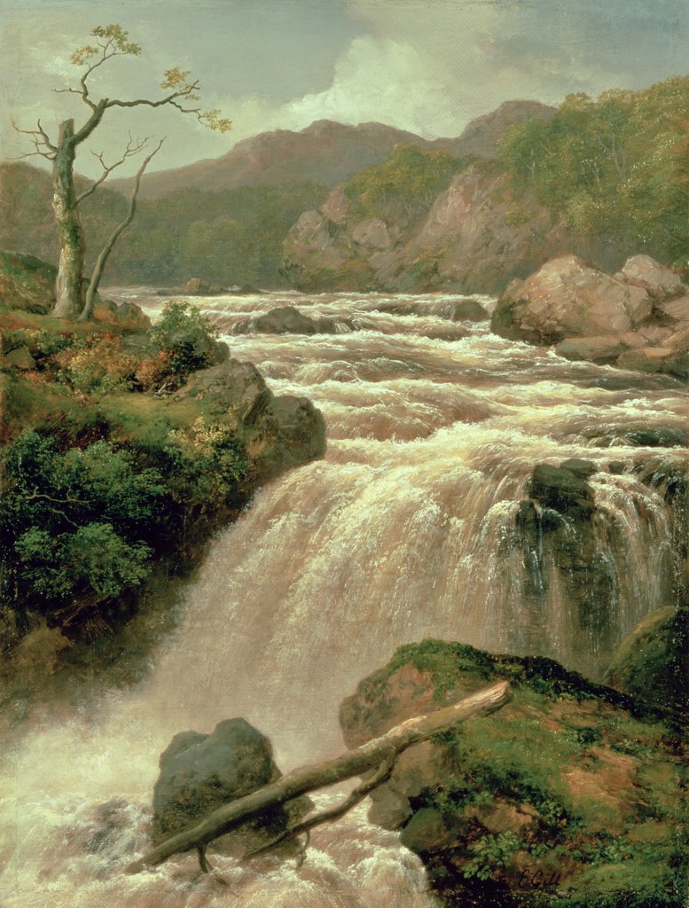 Detail of Waterfall on River Neath, South Wales, 19th century by James Burrell Smith