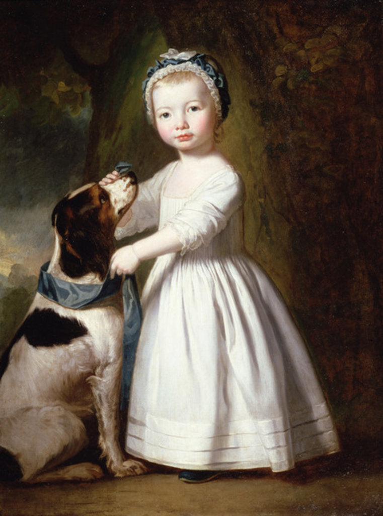 Detail of Little Boy with a Dog, c.1757 by George Romney