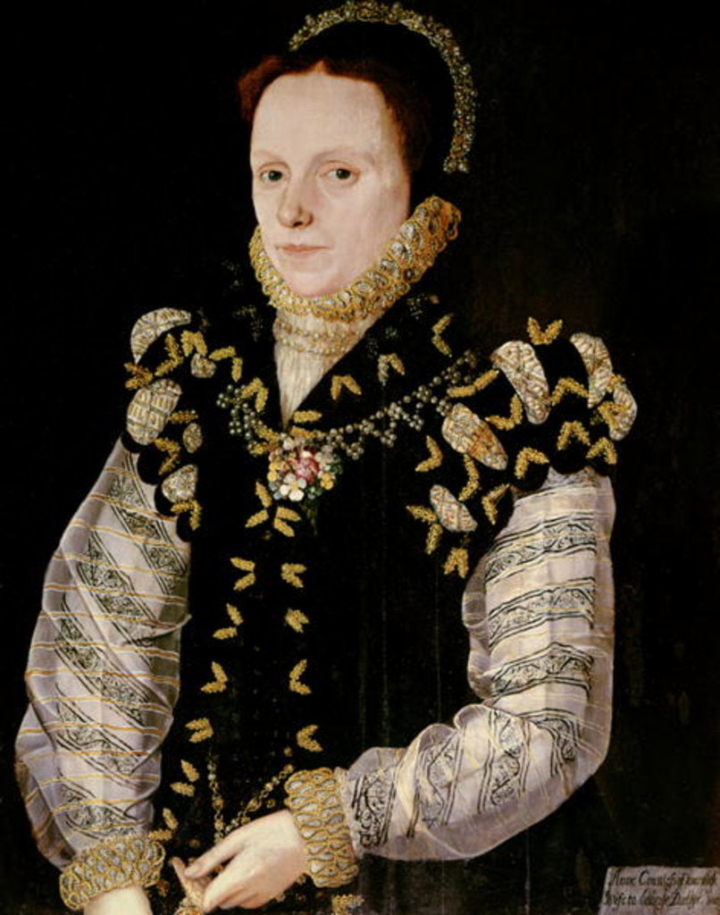 Detail of Anne Russell, Countess of Warwick, c.1565 by English School