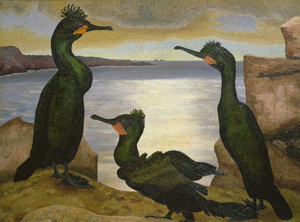 Detail of Shags, 1938 by Cedric Morris
