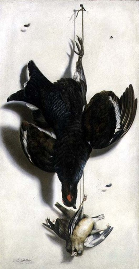 Detail of Trompe l'oeil of a black grouse and finches by Jacobus Biltius