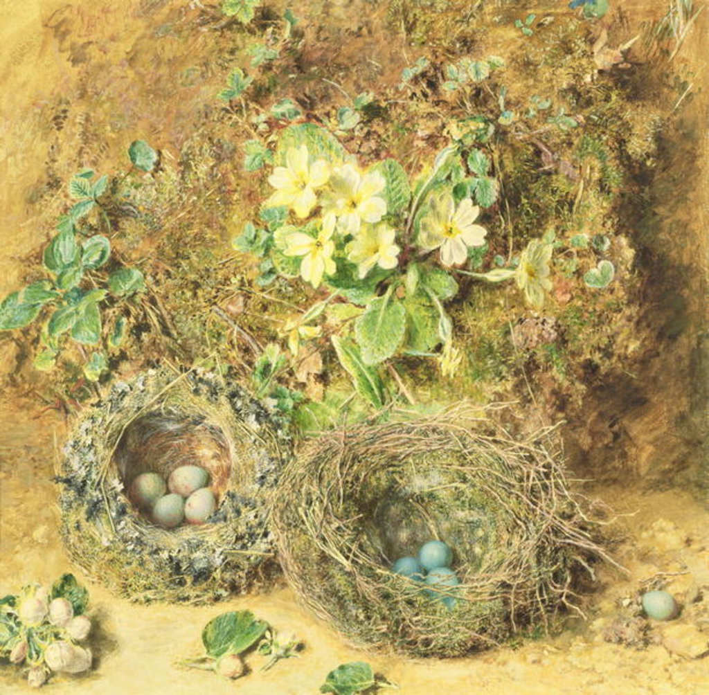 Detail of Primroses and Birds' Nests by William Henry Hunt