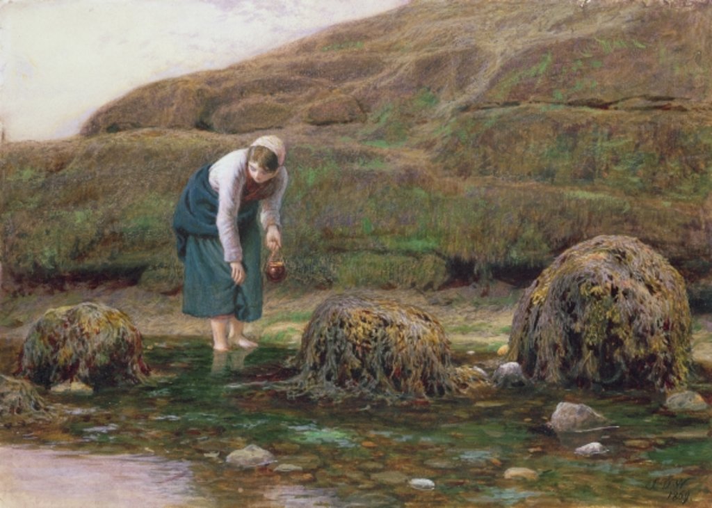 Detail of The Winkle Gatherer, 1869 by John Dawson Watson