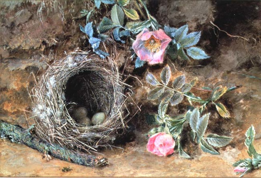 Detail of Wild Roses and Birds' Nests by William Henry Hunt