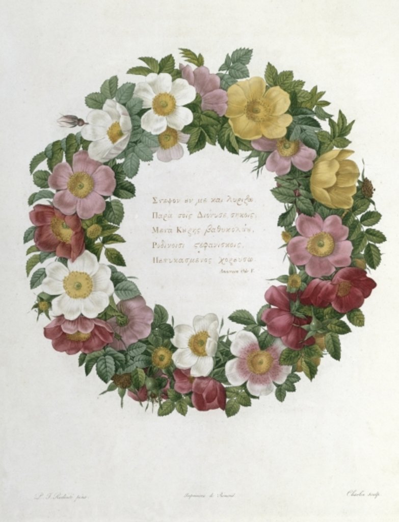Detail of Christmas Roses by Pierre Joseph Redouté