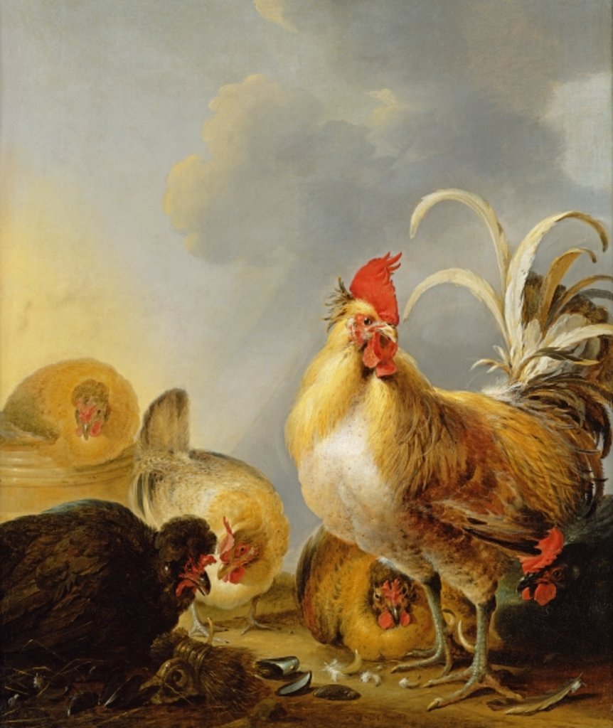 Detail of A Group of Farmyard Fowl, 1643 by Gysbert Hondecoeter