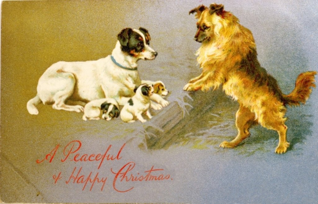 Detail of Puppies in the Straw, Victorian postcard by Anonymous