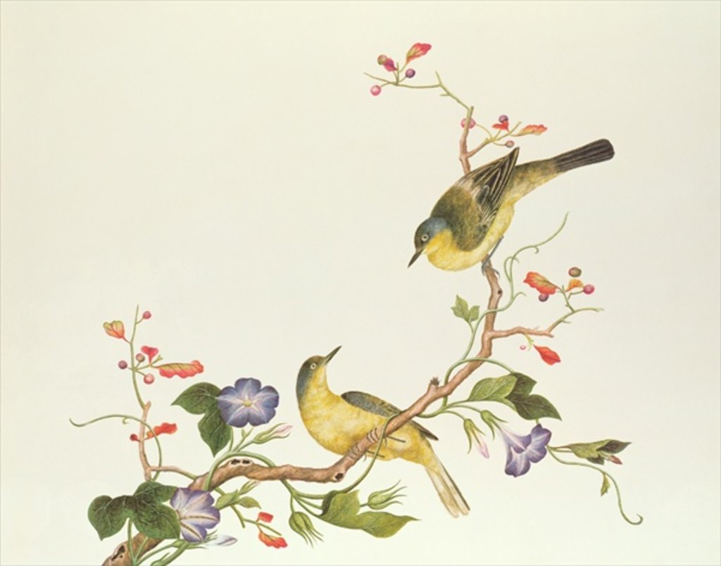 Detail of Yellow Wagtail with blue head, Ch'ien-lung period by Qing Dynasty Chinese School