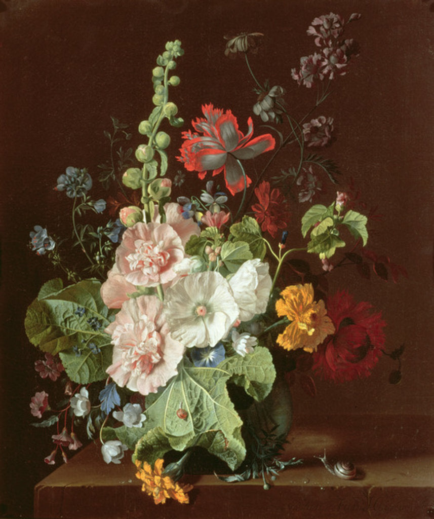 Detail of Hollyhocks and Other Flowers in a Vase, 1702-20 by Jan van Huysum