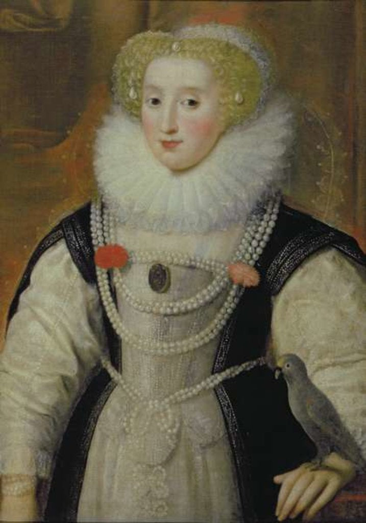 Detail of Portrait of an Elizabethan Lady with a Parrot by English School