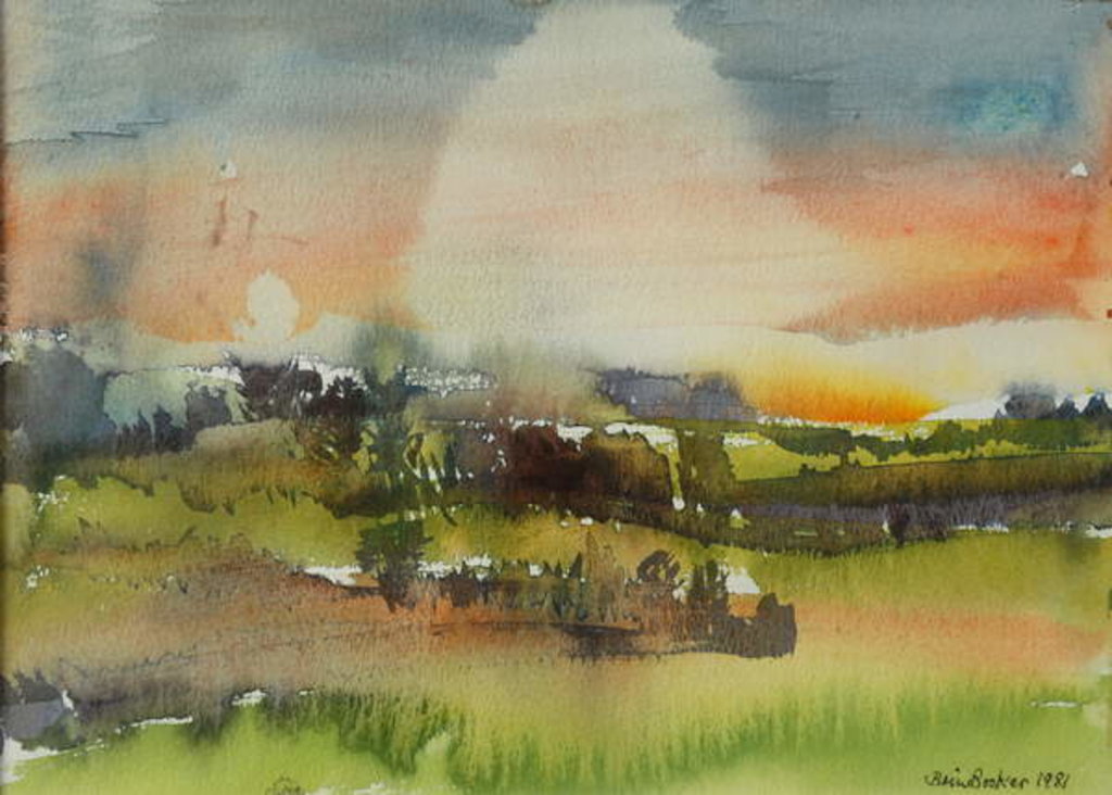 Detail of After Rain, 1981 by Brenda Brin Booker