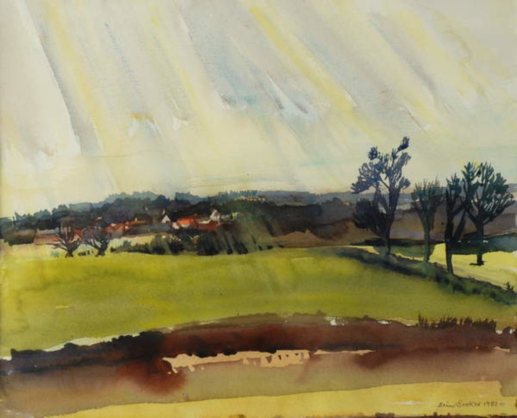 Detail of Rainy Morning, 1981 by Brenda Brin Booker