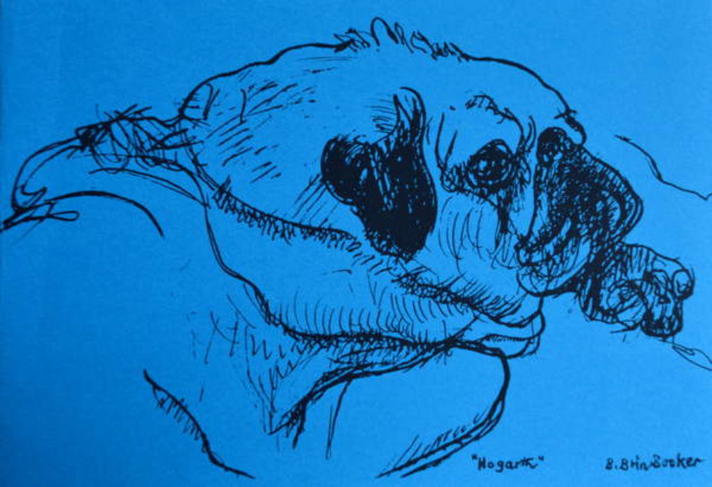 Detail of Hogarth by Brenda Brin Booker