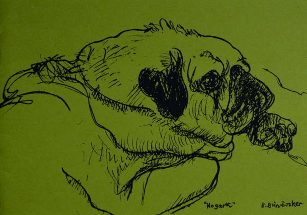 Detail of Hogarth by Brenda Brin Booker