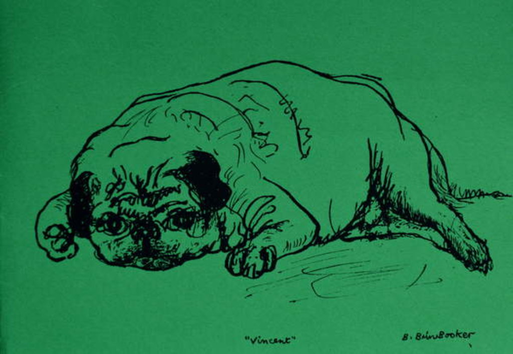 Detail of Vincent by Brenda Brin Booker