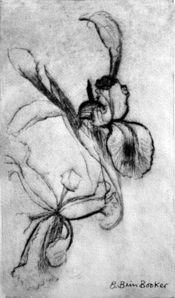 Detail of Irises by Brenda Brin Booker