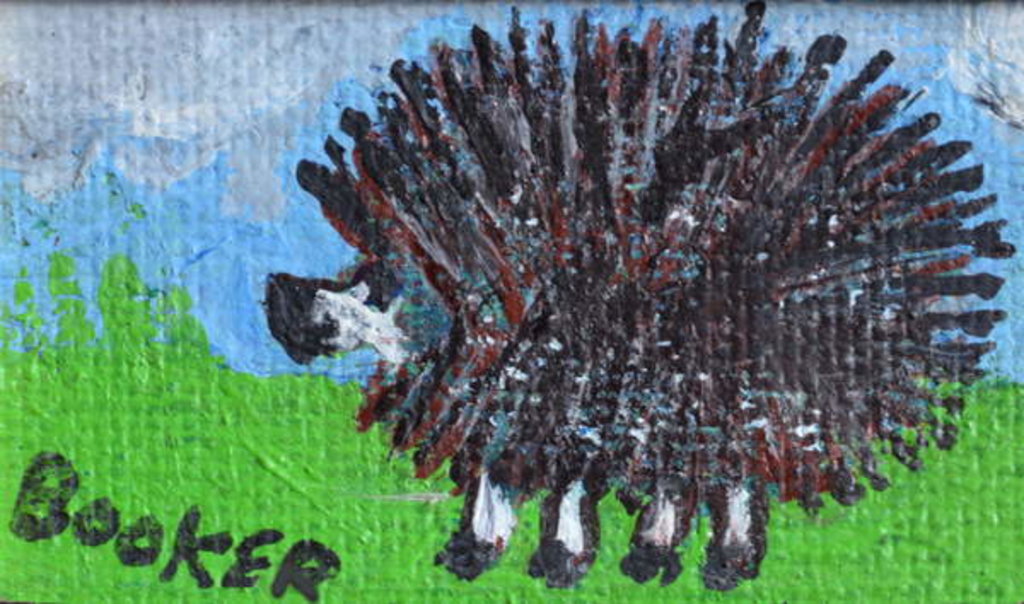 Detail of Hedgehog by Brenda Brin Booker