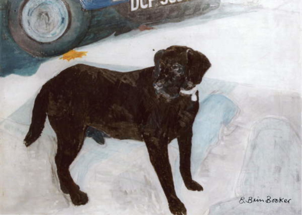 Detail of Rex in the Morning at the Used Car Lot by Brenda Brin Booker