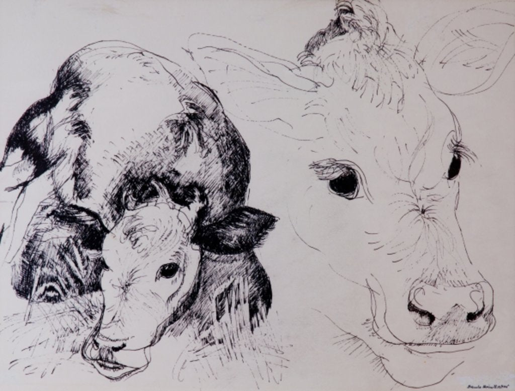Detail of Calves, Gt Garnetts II by Brenda Brin Booker
