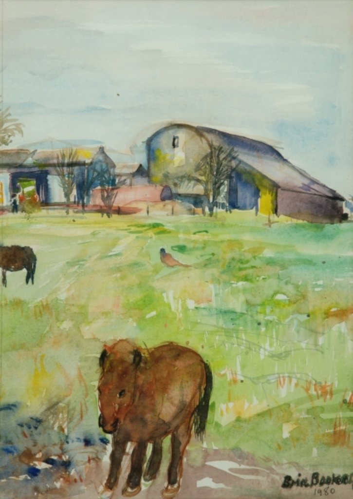 Detail of Pony in the Farm Meadow, East Green, 1980 by Brenda Brin Booker