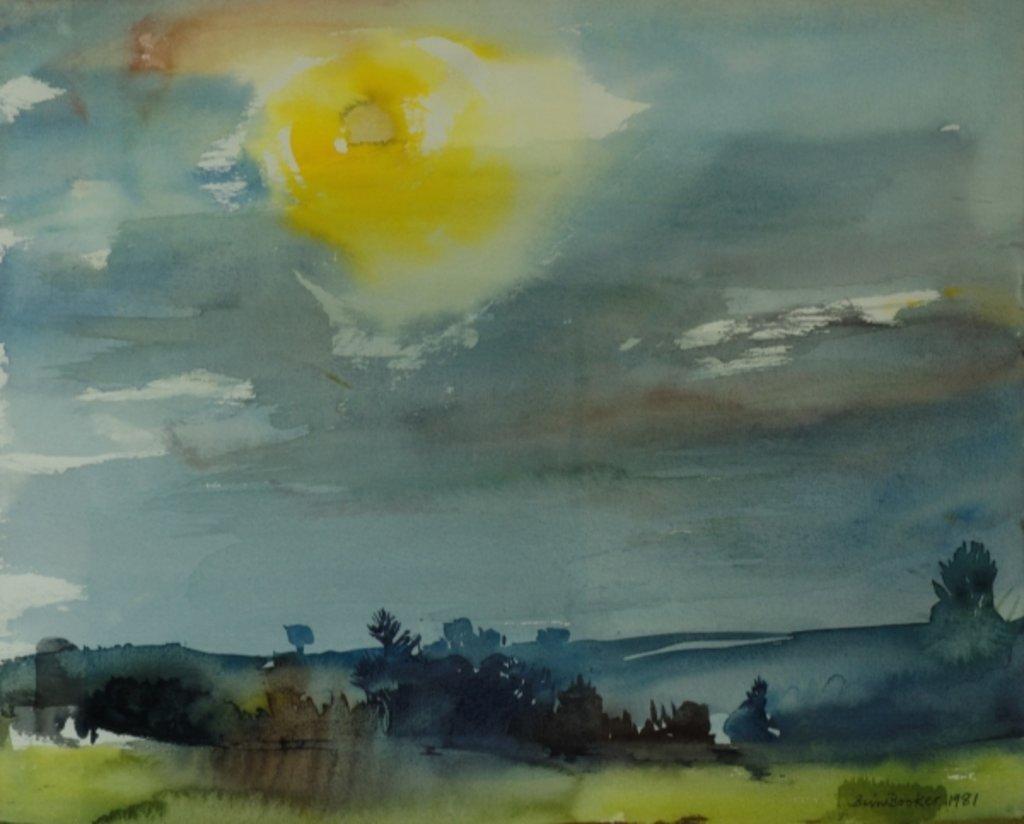 Detail of Rain in the Air, 1981 by Brenda Brin Booker