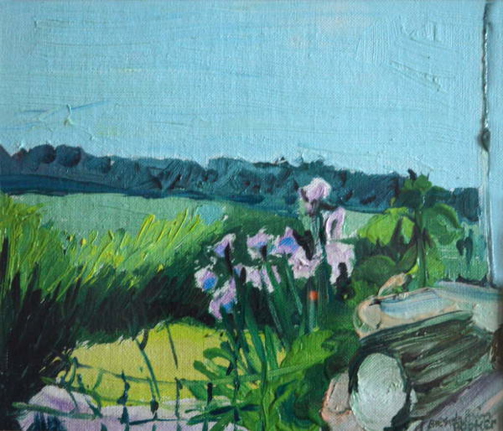 Detail of Irises in the Garden by Brenda Brin Booker