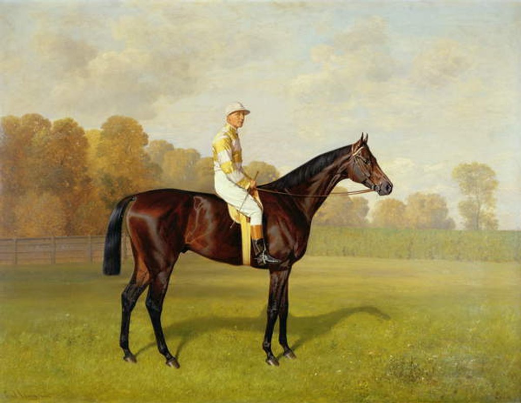 Detail of Ladas, Winner of the 1894 Derby, 1894 by Emil Adam