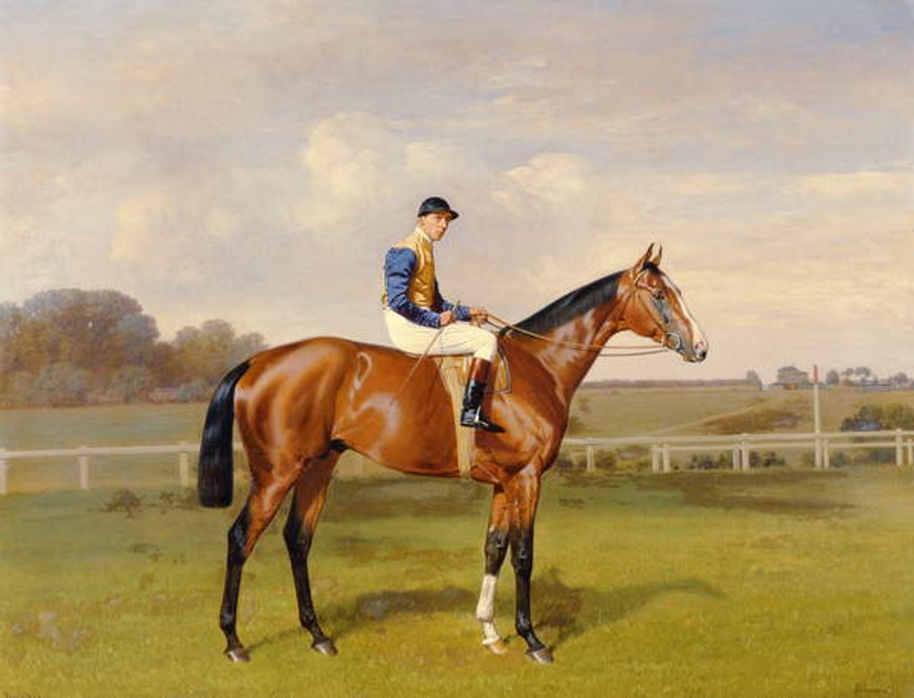 Detail of Spearmint, Winner of the 1906 Derby, 1906 by Emil Adam