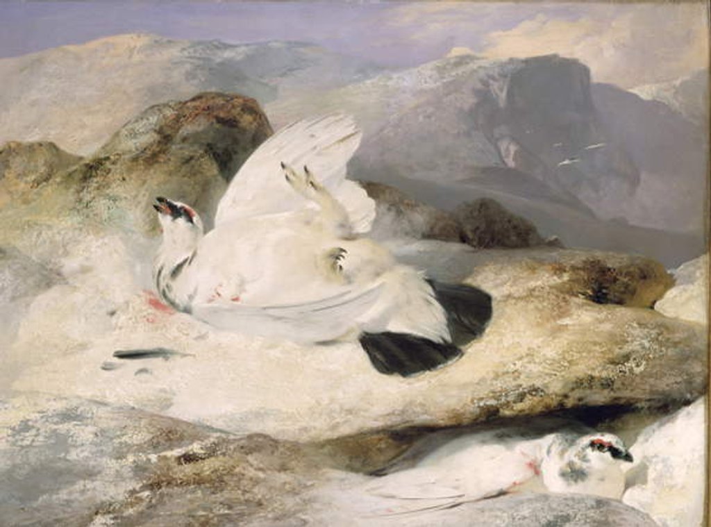Detail of Ptarmigan by Edwin Landseer