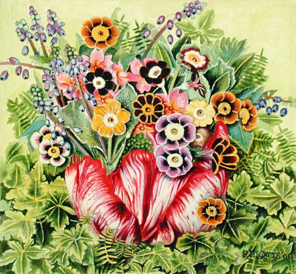 Detail of Auriculas, 2000 by E.B. Watts