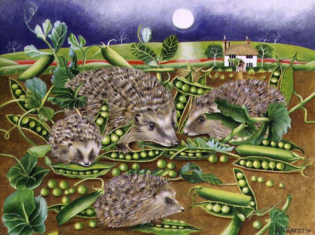 Detail of Hedgehogs with Peas beside a Poppy field at night, 1994 by E.B. Watts