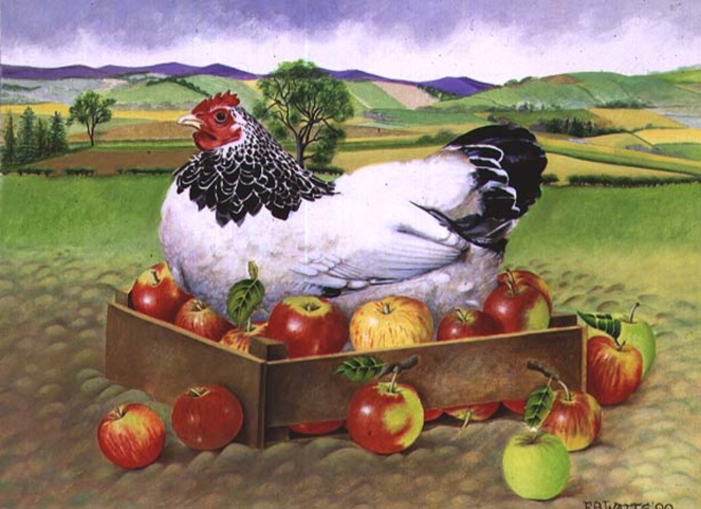 Detail of Hen in a Box of Apples, 1990 by E.B. Watts