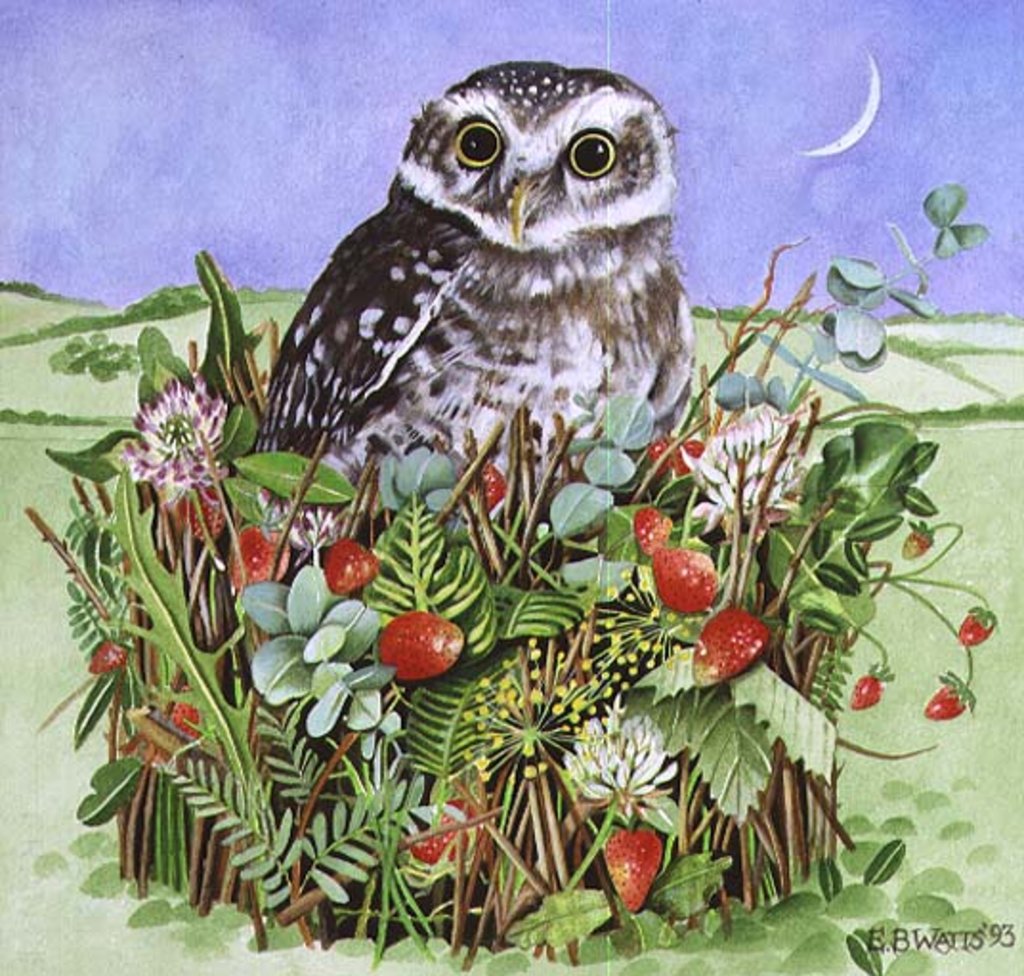 Detail of Owl in a Woodland Basket, 1993 by E.B. Watts