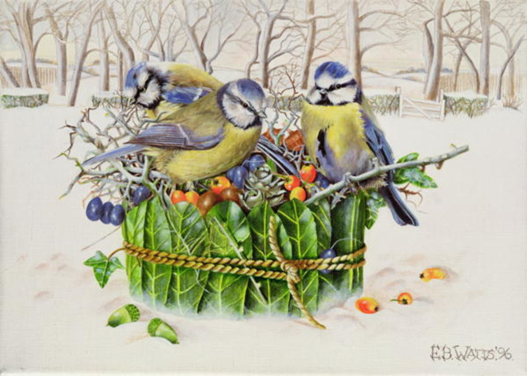 Detail of Blue Tits in Leaf Nest, 1996 by E.B. Watts