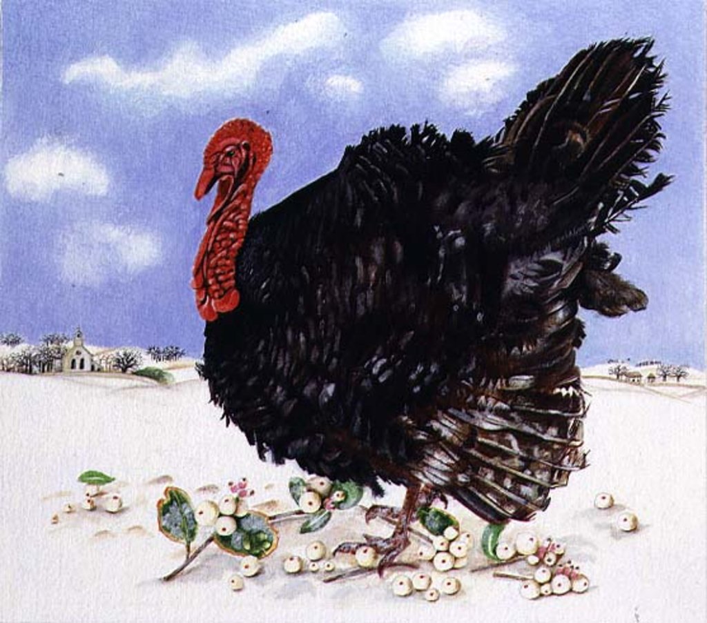 Detail of Black Turkey with Snow Berries, 1996 by E.B. Watts