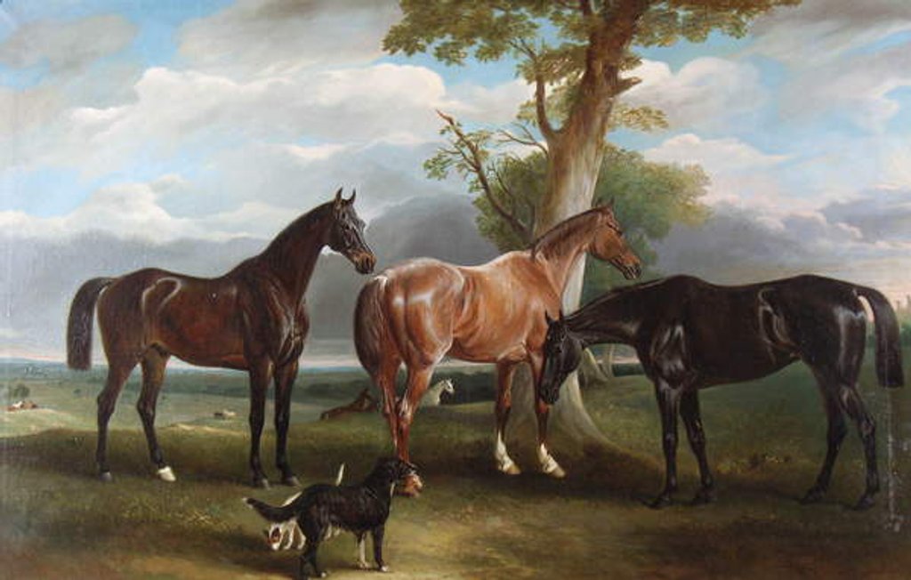 Detail of The 6th Duke's favourite hunters and dogs, 1857 by John E. Ferneley