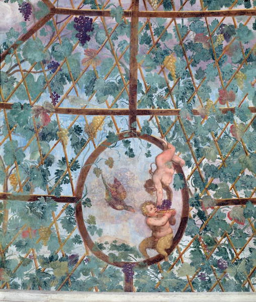 Detail of The semicircular ionic portico, detail of the ceiling vault depicting a putto feeding a young satyr grapes, 1551-55 by Pietro Venale