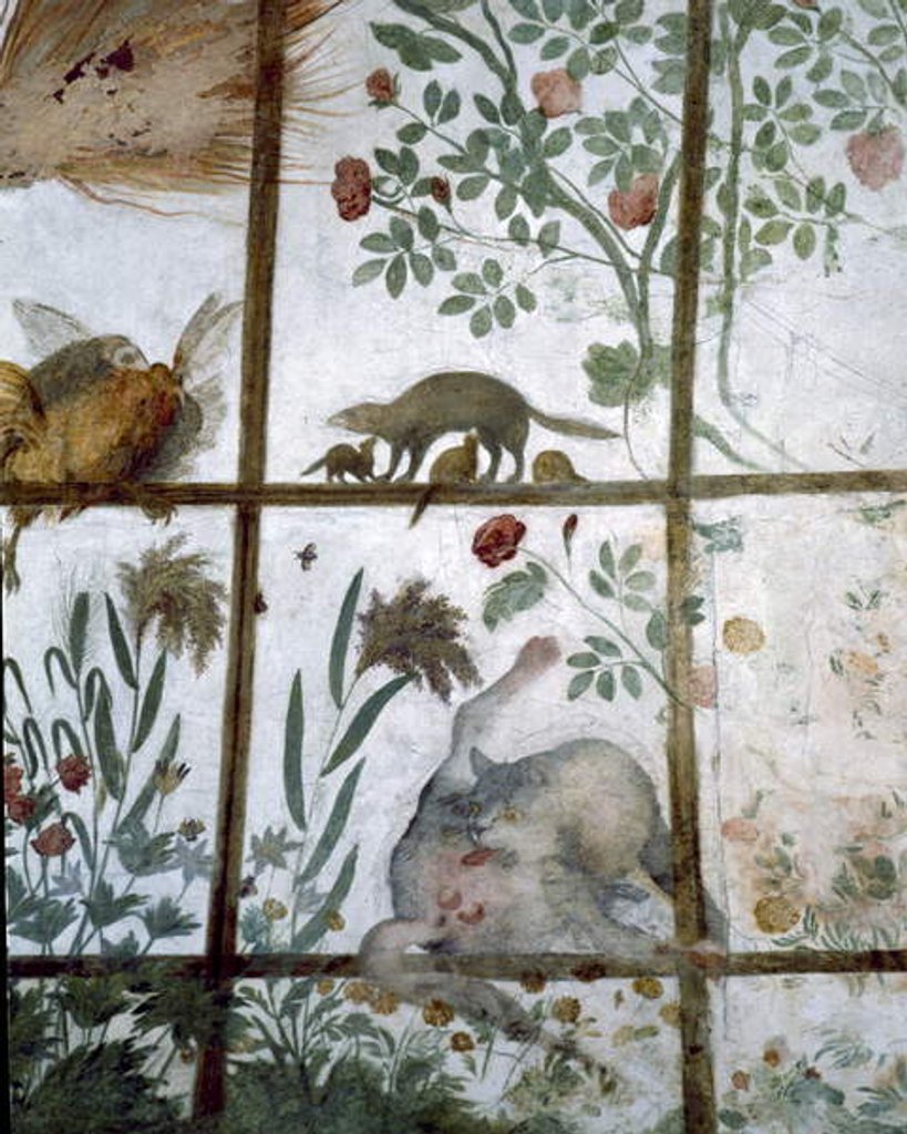 Detail of The antechamber of the 'Studiolo' of Francesco de'Medici detail of decoration depicting animals in a garden pergola, 1564-75 by Nanni di B. Bigio & Bartolomeo Ammannati