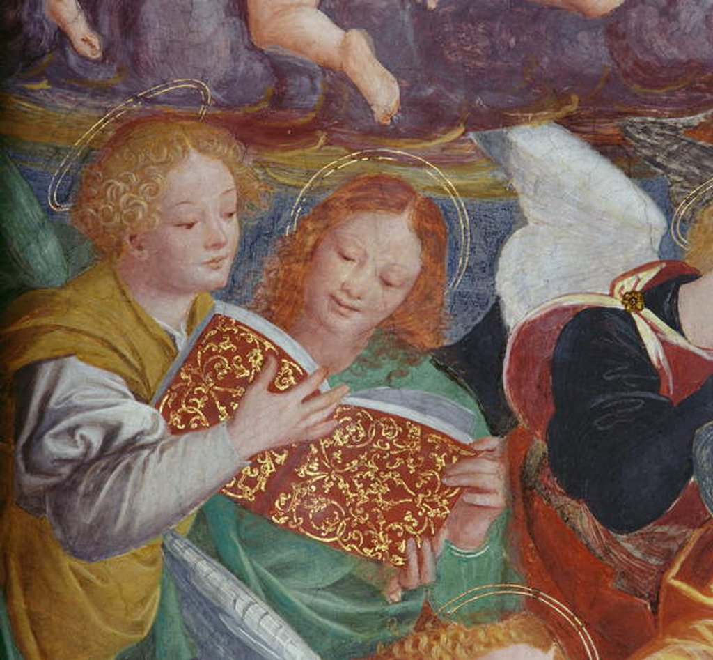 Detail of The Concert of Angels, 1534-36 by Gaudenzio Ferrari